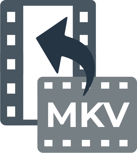 Here Is How To Convert Mkv Files Diskinternals