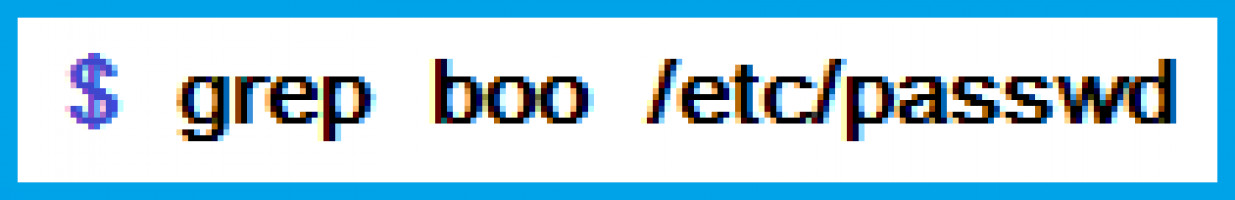 basic-of-grep-in-linux-shell-script-diskinternals